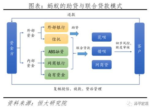 泽平宏观 蚂蚁研究报告